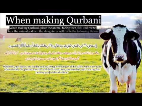 Dua For Slaughtering - Qurbani Ki Dua - Supplication of Qurbani - قربانی کی  دعا - YouTube