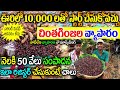 How to start tamarind seeds business  tamarind seeds  business ideas in telugu   