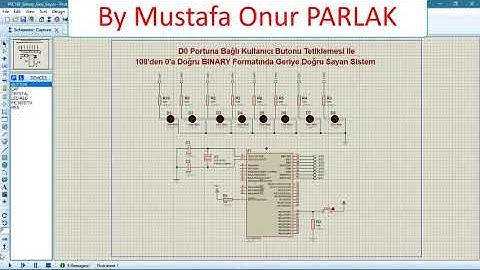 PIC16F877A Binary Geri Sayici