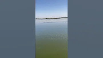 موال حزين موال خبر إيه يا بحر يا كبير موال ياسين التهامي مدح 