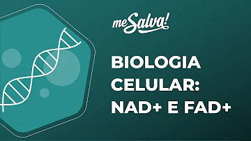 Qual é a função do NAD é do FAD?