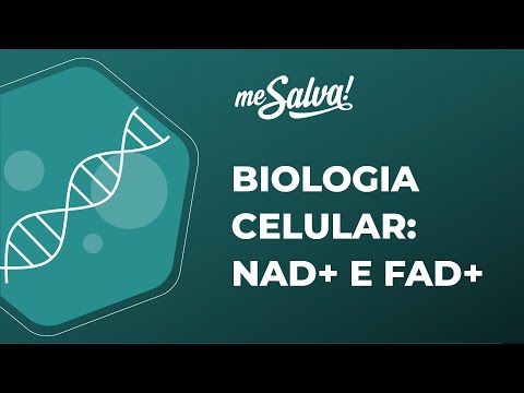 Vídeo: São nadh e fadh2 coenzimas?