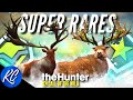 Diamond & Rare Montage #7 - Great One Red Deer, Super Rare Red Deer & MORE! | Call of the Wild