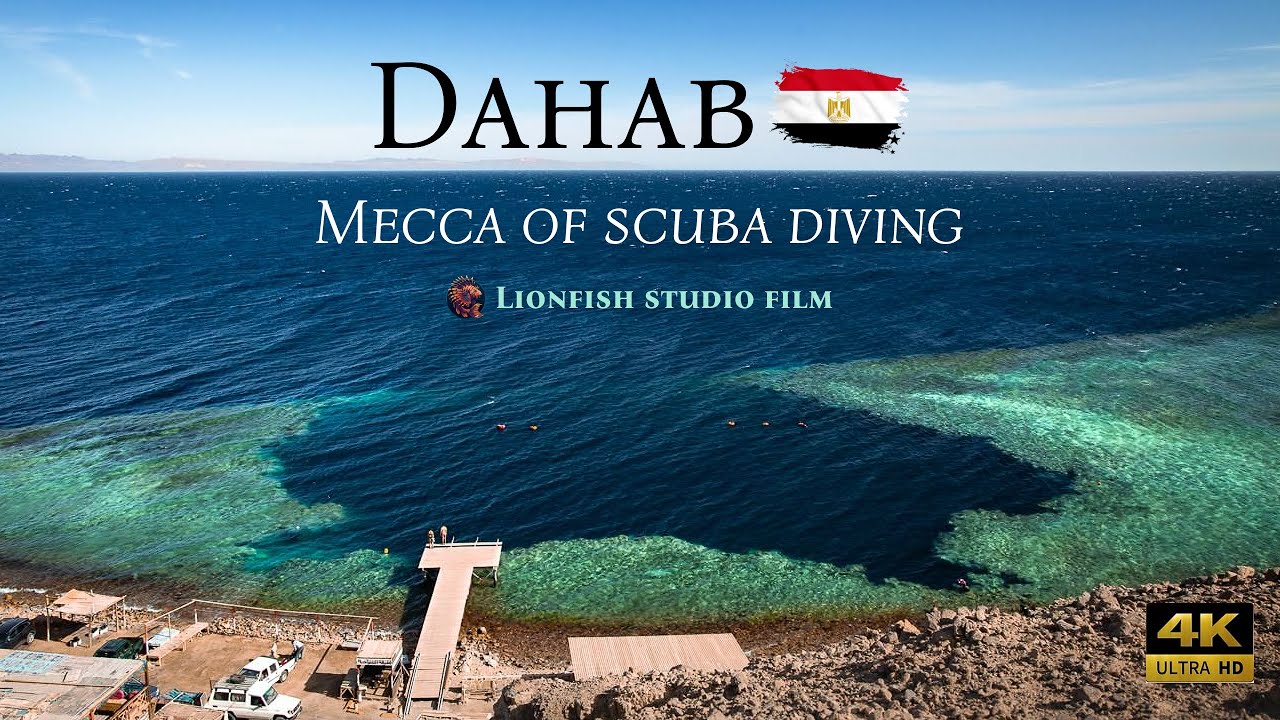 その他 Sites De Buceo En Egipto [DVD] Sites de Buceo en Egipto [DVD] 【公式通販】