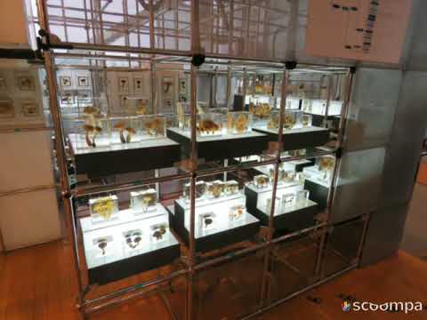 旅探 たびたん 仙台市科学館の投稿動画 スリーエム仙台市科学館 旅探 たびたん 仙台市科学館の投稿動画 スリーエム仙台市科学館