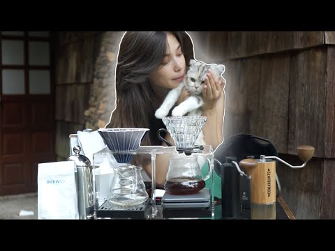 สาวบราซิลชงกาแฟกับแมวที่เชียงใหม่ | วิธีชงดริป V60