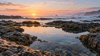 Information 6.5 Hours at Dawn Tide Pools | Gentle Waves, Sea Bubbles & Distant Birds News