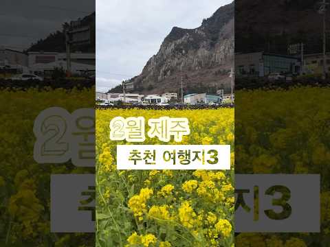 2월 제주 여행 이대로만 가면 성공🤗🩷