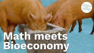 Circular Bioeconomy: a pioneering decision support tool based on mathematical models