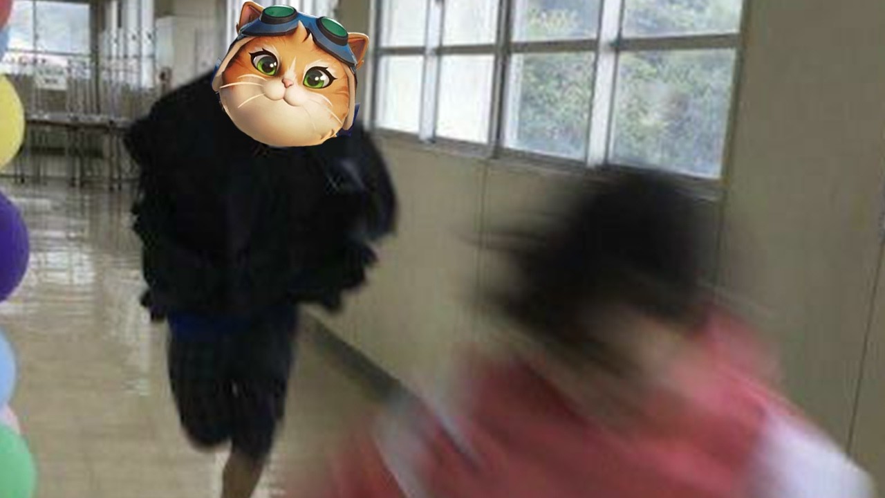 고양이가 세상을 망치는중이야