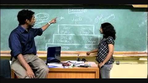 Organization Dynamics - Centralization vs. Decentralization