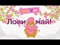 Лови май на CTC Love 