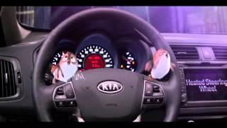 The Kia Rio - Kia Qatar Resimi