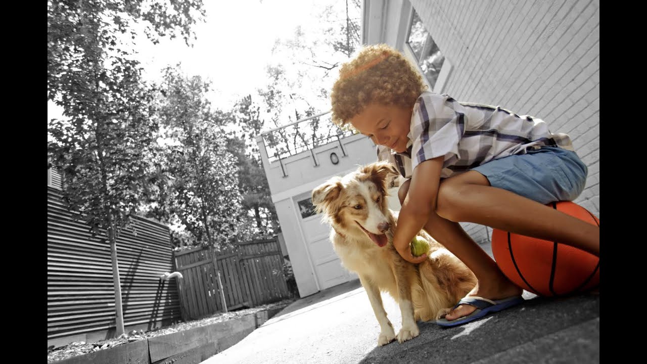 How Nestle Purina Uses Virtual Reality for Training | Oculus for Business