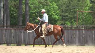ES20 Snaffle Bit Basics with Luna Day 1 Wealth