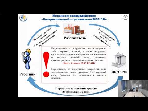 О реализации пилотного проекта «Прямые выплаты» 12 11 2020