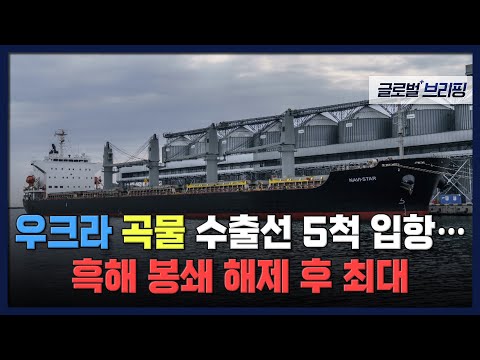 [글로벌 브리핑] 우크라 <strong>곡물</strong> 수출선 5척 입항…흑해 봉쇄 해제 후 최대