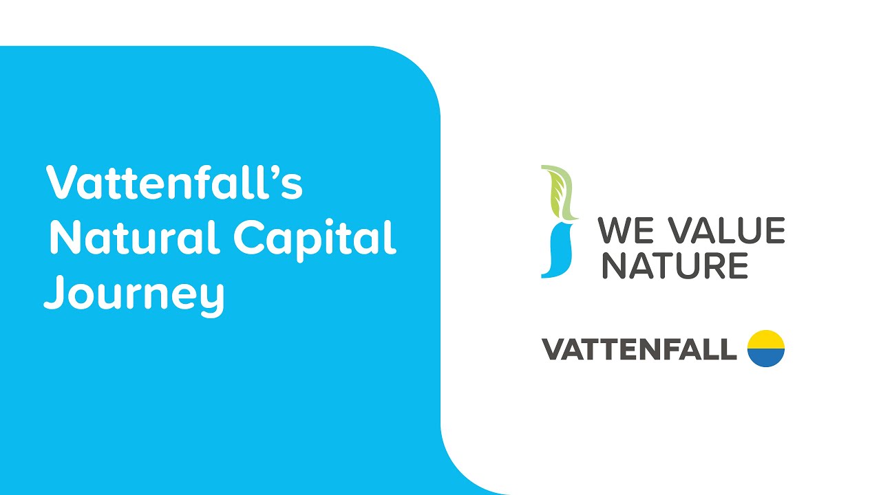 Vattenfall Testimonial