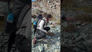 Download Lagu master of camouflage!!!! MP3