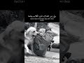 درس في الوفاء لا يفهمه الكثير من البشر. 🤔❤️