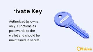 Crypto Wallet Development: Hot vs. Cold Wallets Explained | Key Features & Security Tips