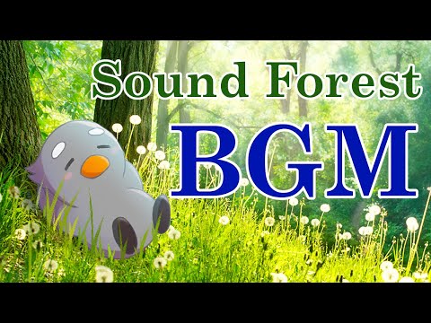 【森の音 ASMR】リラックス、快眠・睡眠、ストレス解消、作業用・瞑想用のBGM ジャズ ピアノをジャズ吉くんがお届けします。