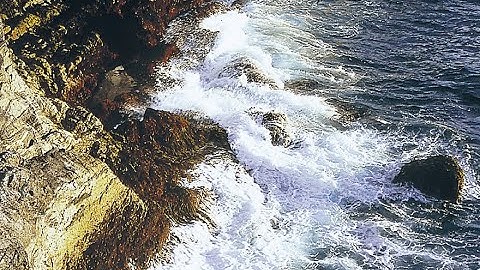 Tidal Forces Environmental Essence ~ by Alaskan Essences