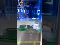 Prix ​​des machines de scellage automatique de boîtes de conserve,  de scellage de boîtes d'amandes