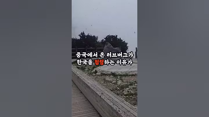 중국에서 온 러브버그가 한국을 점령하는 이유가 소름 돋아요