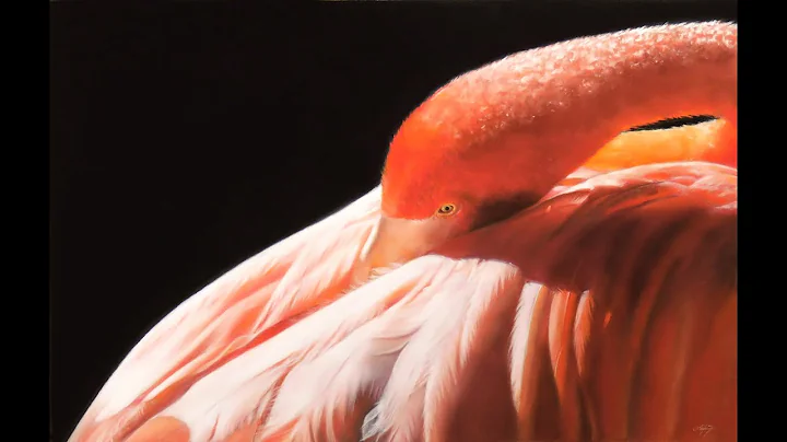 Flamingo in Pastel by Julie Freeman Pastel Artist