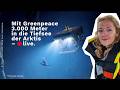 Expedition am Limit: Mit Greenpeace 3.000 Meter in die Tiefen der Arktis