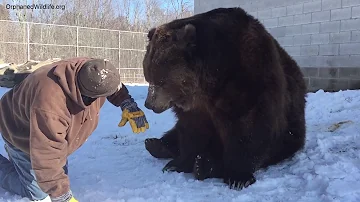 Jim and Jimbo in the snow