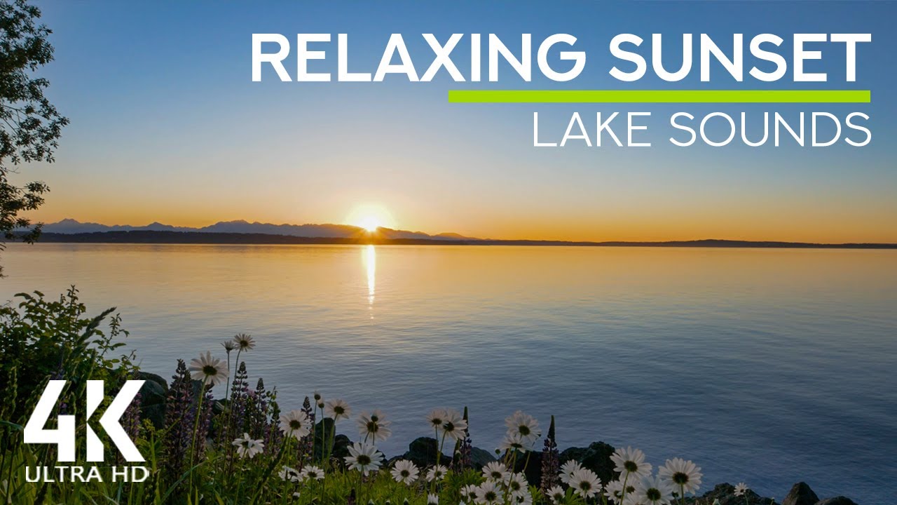 8 HOURS Sounds of Water Lapping   Bird Songs   Cicadas Buzzing for Deep Sleep - SUNSET Ambience