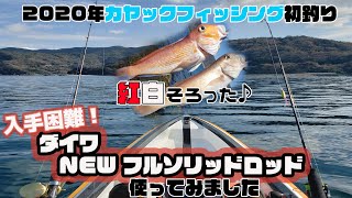 【入手困難】ダイワのNEWフルソリッドロッドで遊んでみた　＃アマダイ #ダイワソルティガスリルゲーム　おサカナのキモチを考える会　カヤックフィッシング in 愛媛