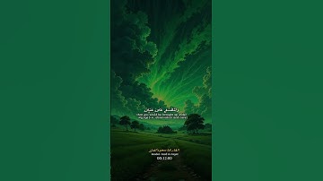 قران كريم بصوت القارئ سعود الفايز