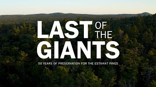 Michigan Nature Presents: Last of the Giants