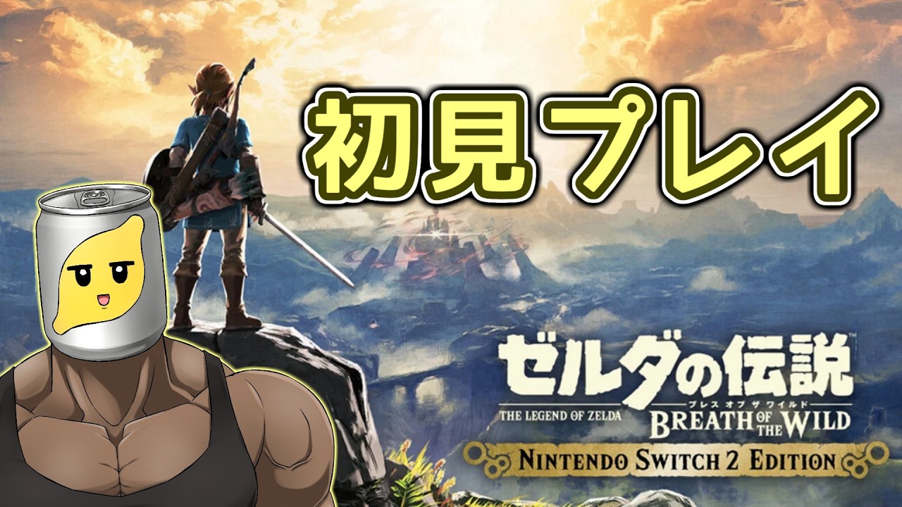 【ブレワイ】ティアキンクリア済みおじさんの初見プレイ pt.9【ゼルダの伝説ブレスオブザワイルド】