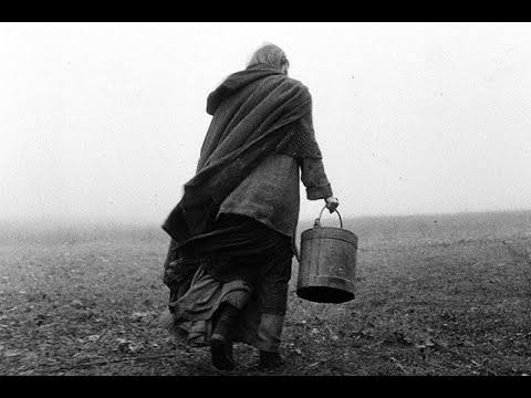 ニーチェの馬」A torinói ló／The Turin Horse／監督：タル・ベーラ