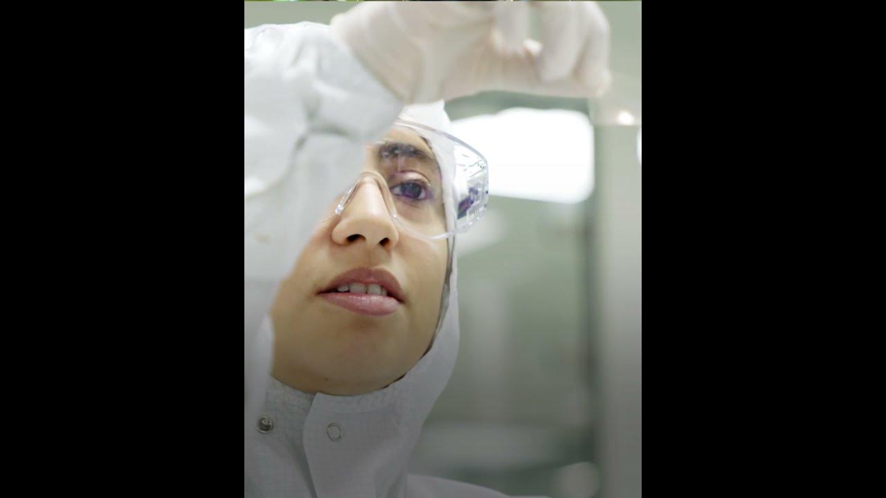 RMIT rises in the 2022 Times Higher Education World Universities