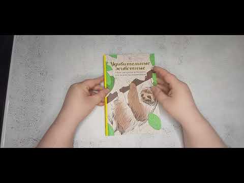 Обзор раскраски " Удивительные животные "🙂