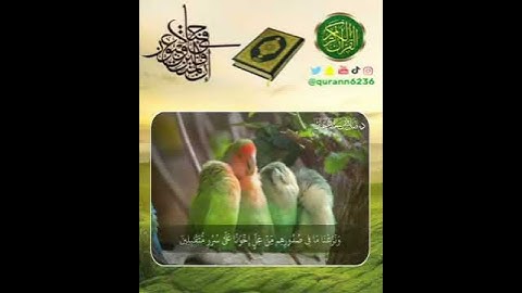 الشيخ: صلاح باعثمان، سورة الحجر، آية (٤٥).