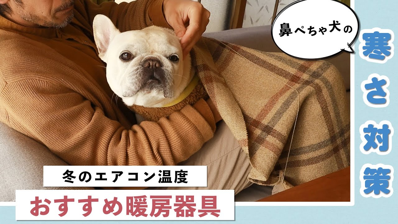 鼻ぺちゃ犬の寒さ対策 冬のエアコンおすすめ温度と暖房器具 Youtube