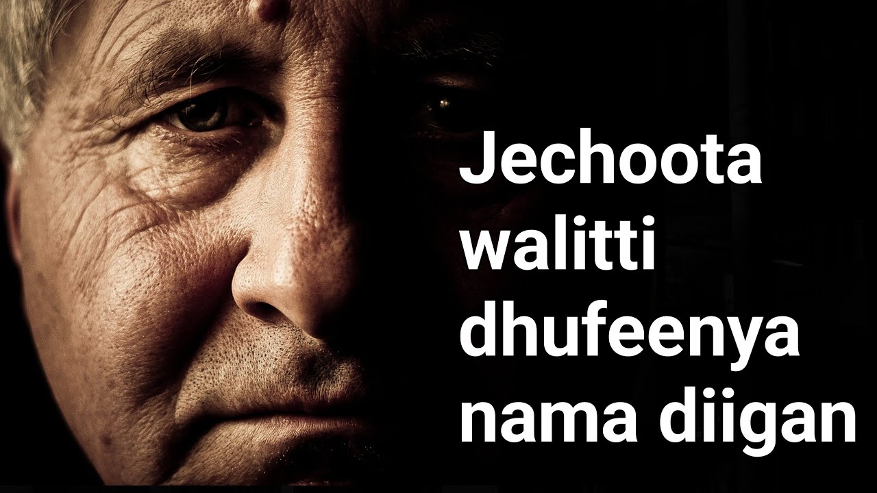 Faayidaalee Callisuu ykn yeroo callisaa Arganu 4n