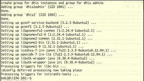 dhis2-tools ubuntu install