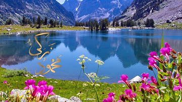 تلاوة هادئه تفيض جمالاً أرح بها بالك ومسمعك البقرة من الاية 203 الي 252 محمود زكي