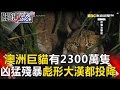 關鍵時刻 20170222節目播出版（有字幕）