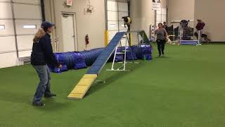 Agility Obstacles 3 class at What a Great Dog! Training Center