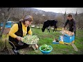 Collecting Wild Forest Garlic | Care Honey Bees | Hard Working Day