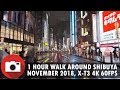 1 hour walk in Shibuya, Tokyo - November 2018 - 4K - 60FPS