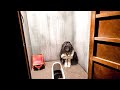 入ったら頭がおかしくなる絶対に入っては行けないお化け屋敷「ホラータワー廃校への招待状」熊本グリーンランド